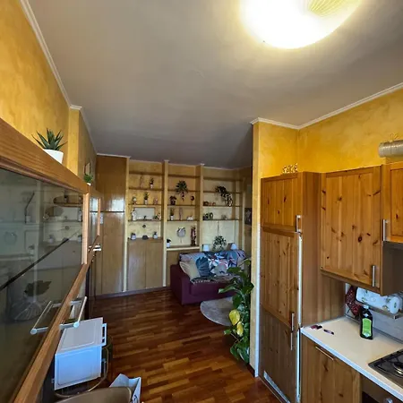 Apartment Eternal Domus